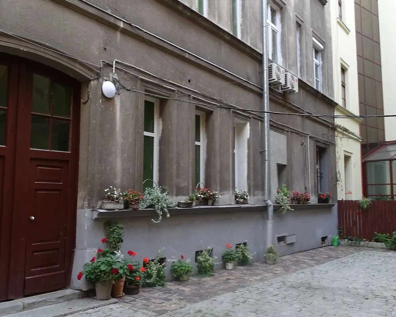 Cat Hostel Krakow