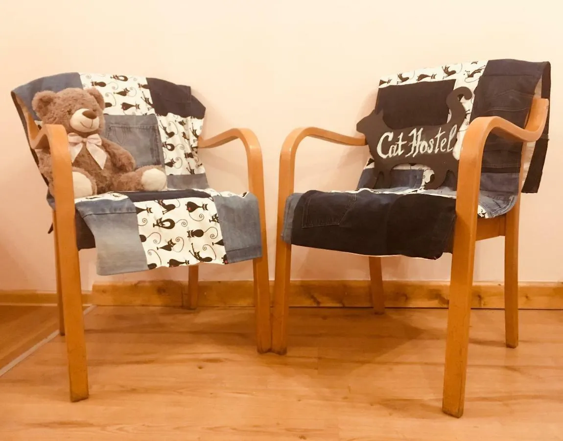 Cat Hostel Krakow Poland