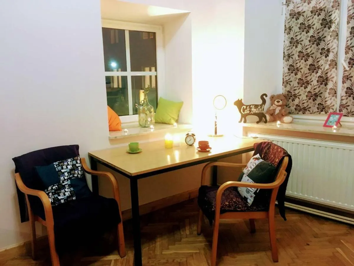 Cat Hostel Krakow Poland