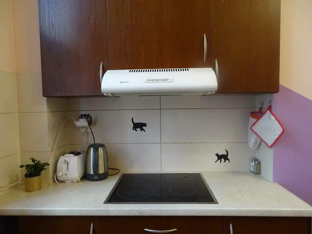 Cat Hostel Krakow Poland