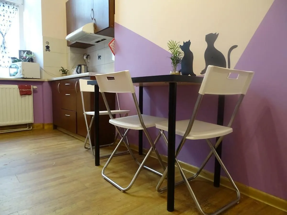 Cat Hostel Krakow contacts