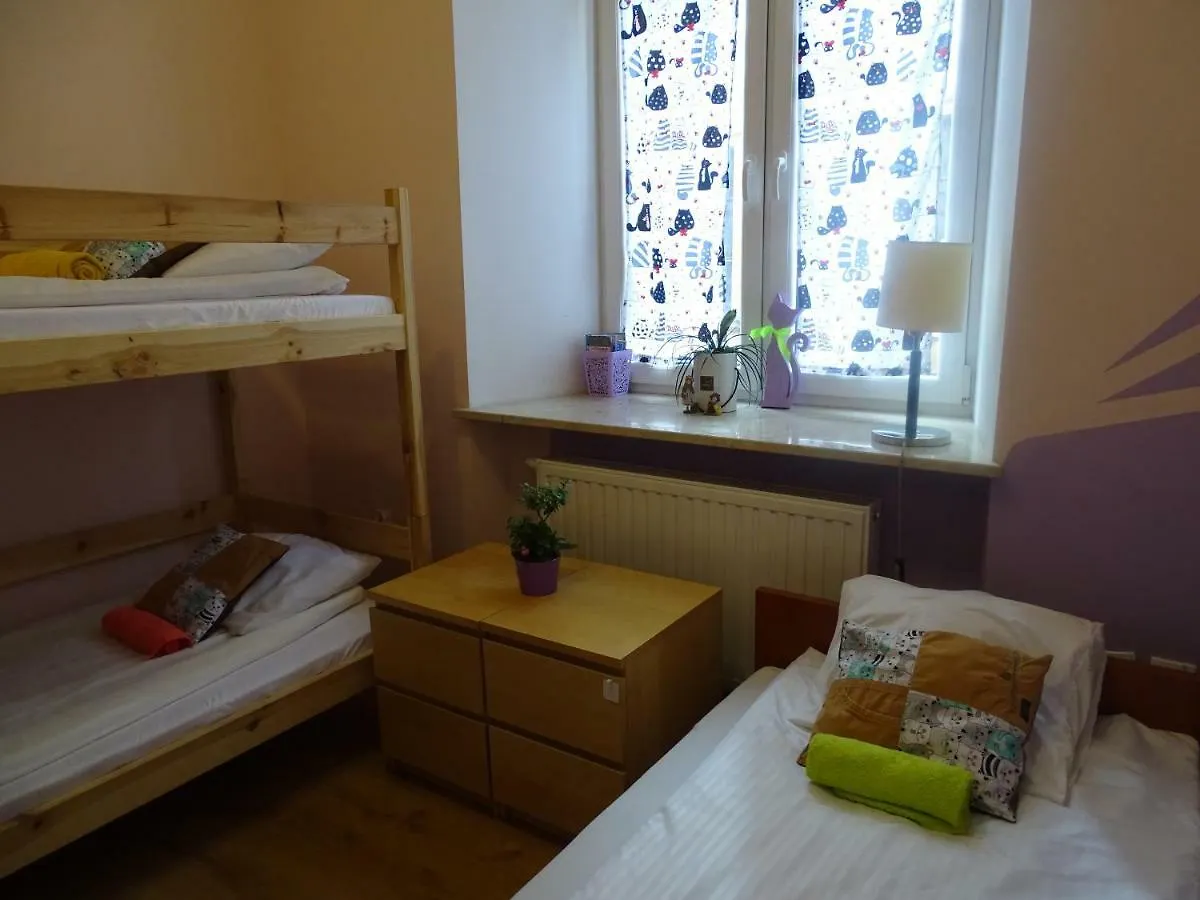 Cat Hostel Krakow Poland