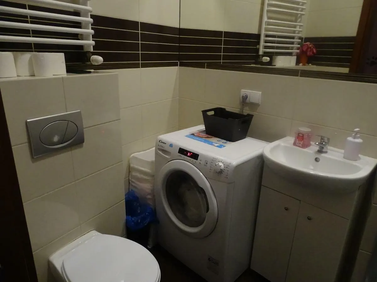 Cat Hostel Krakow Poland