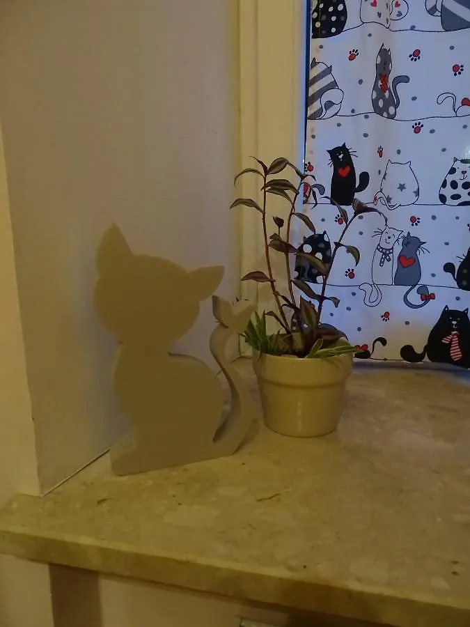 Cat Hostel Krakow